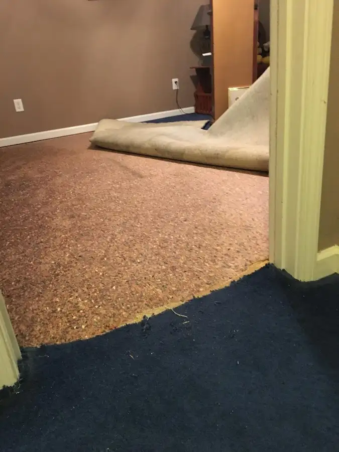 Carpet pad removal revealing water damage during Drying & Dehumidification in White Bear Lake