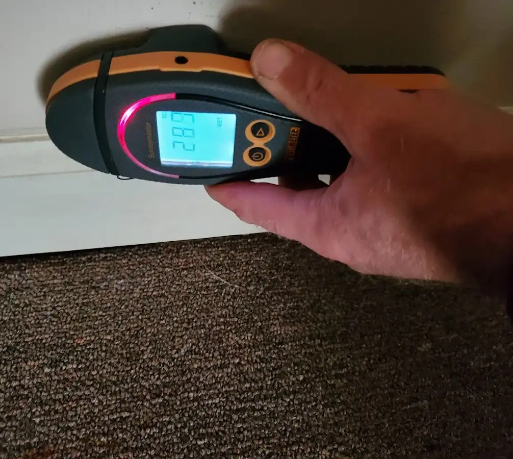 Moisture detection at baseboard during Sewage Cleanup & Sanitation in White Bear Lake